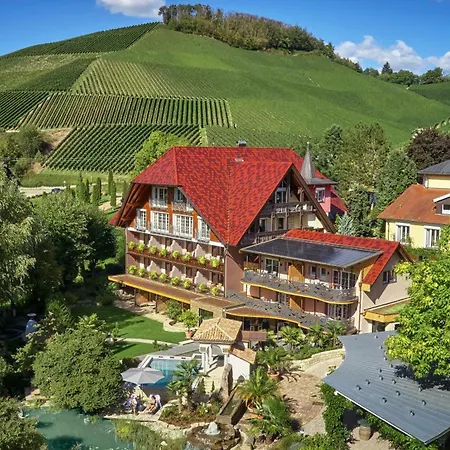 Hotel Rebstock Durbach-3
